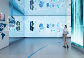 玫瑰茄进口报关公司