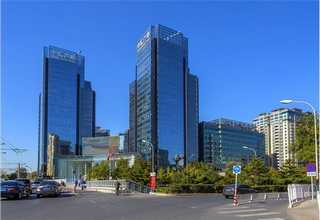 淮安创意绿植批发