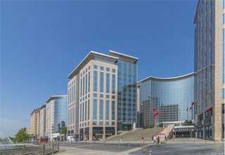 静安区龙眼苗商家