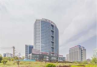 陕西果蔬奶酪生产线厂家价格