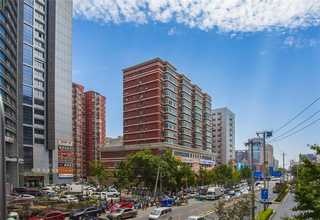 奉贤区专业社区绿化服务供应商